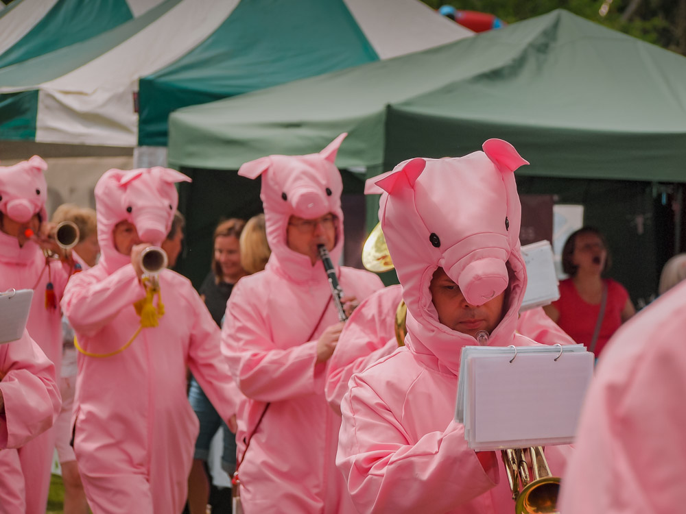 Pig Marching Band