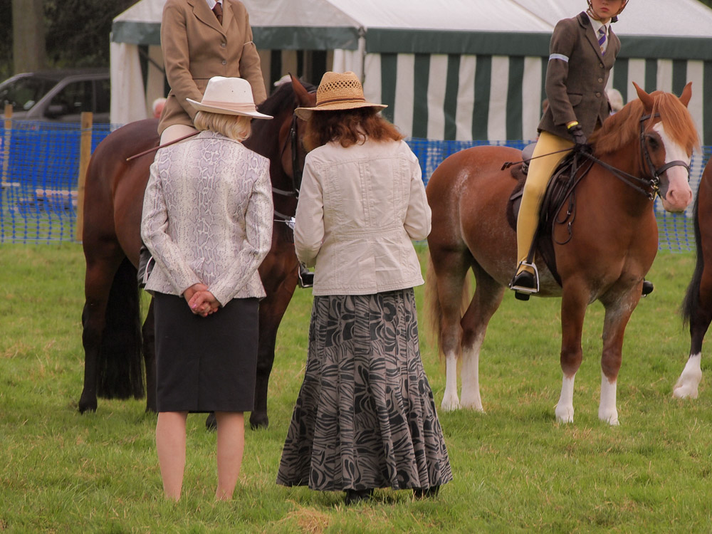 Country Show, Hampshire