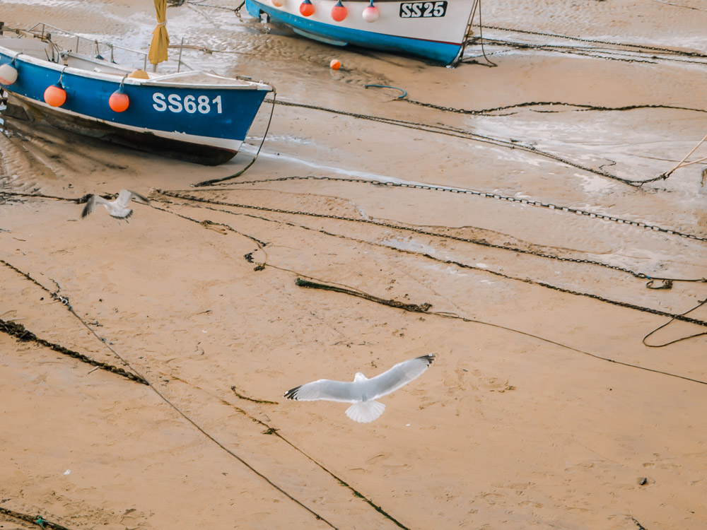 Boats, St Ives